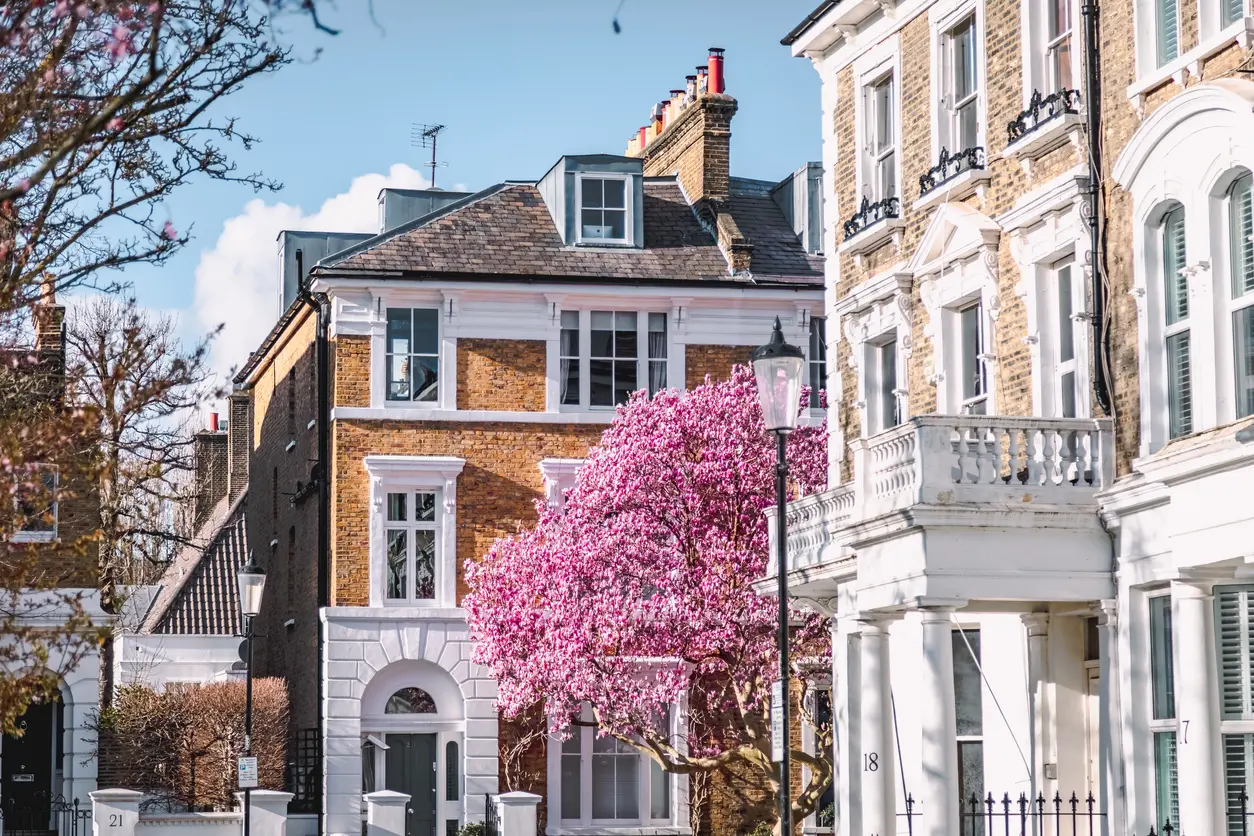 Georgian and Victorian houses in Redland, Bristol framed by cherry blossom